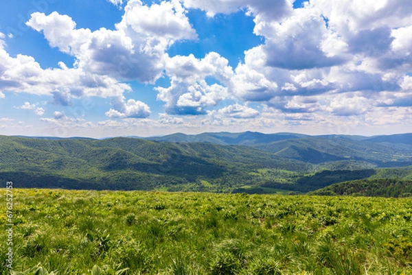 Fototapeta View of the mountains from Połonina Wetlińska, Bieszczady, Poland
