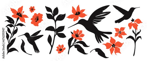 Fototapeta Set of leaves silhouette of beautiful plants, flower and hummingbird. Vector illustration .	