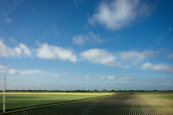 Fototapeta The fields of the Noordpolder in the province of Groningen in the early spring light
