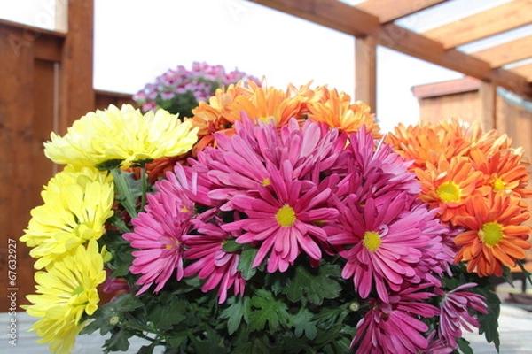 Fototapeta Balkonblumen