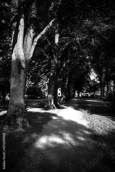 Obraz Tranquil Park Oasis in Fehmarn