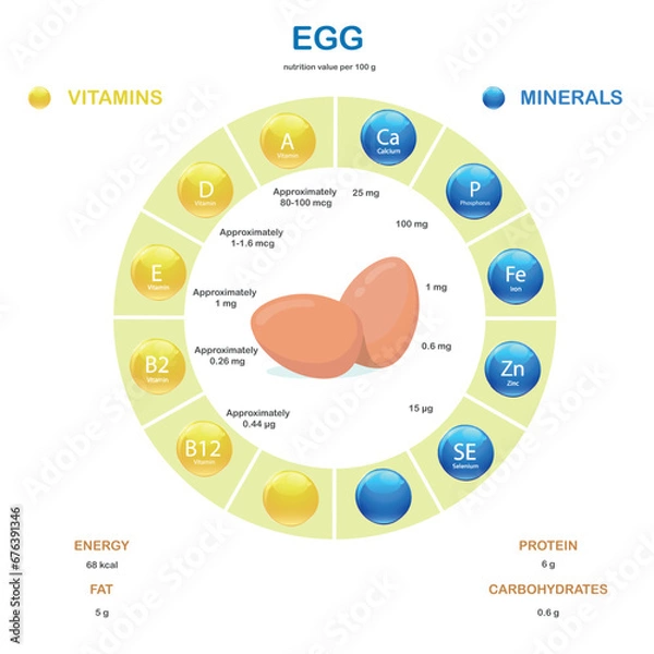 Obraz Infographics about nutrients in Egg