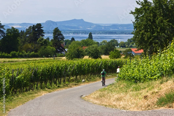 Fototapeta Insel Reichenau - Radferien am Bodensee