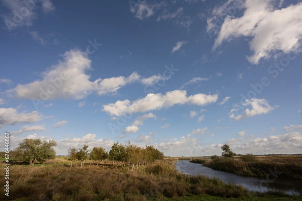 Fototapeta Woudbloem, the Netherlands 10-16-2022.After 10 years of nature development in the Westerpolder, Ae's Woudbloem, Tetjehorn and Dannemeer, old and new nature come together in the Roegwold Nature Reserve