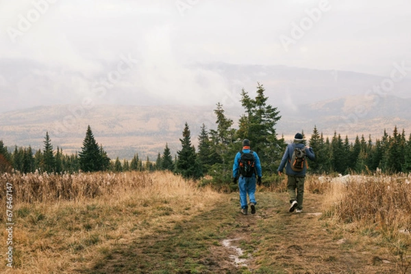 Fototapeta a group of tourists with backpacks is walking through a mountainous area rear view