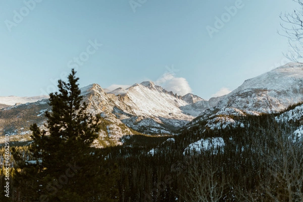 Fototapeta Beautiful snowy trees and mountains in the winter during sunset
