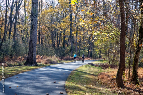 Fototapeta Bicyclists riding through a wooded autumn scene