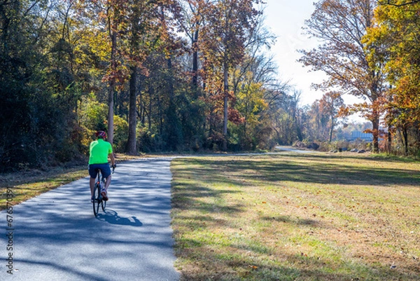 Fototapeta Solo bicylist riding through an autumn wooded scene
