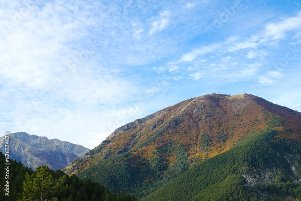 Fototapeta Mountain panorama covered half by autumnal orange and green trees in Pescasseroli, Abruzzo, Italy.