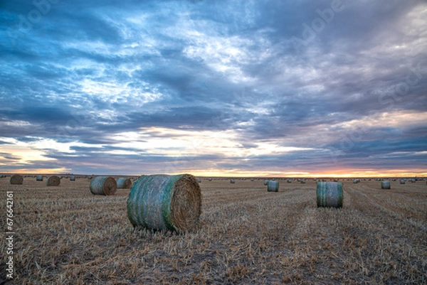 Fototapeta Hay Bale
