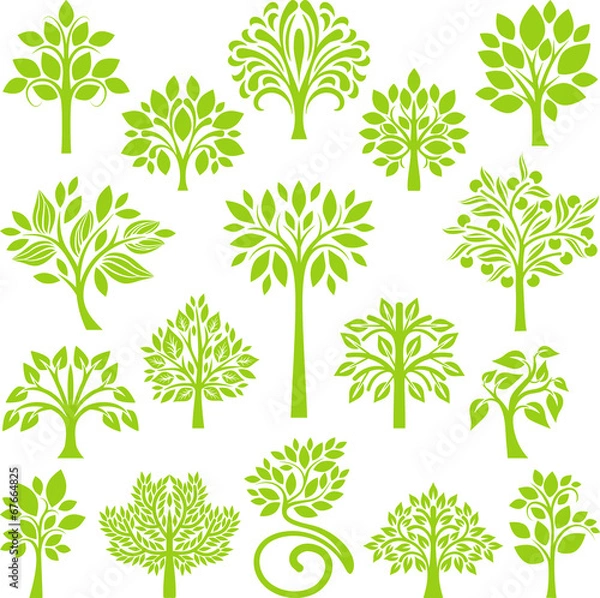 Obraz Green Tree set II