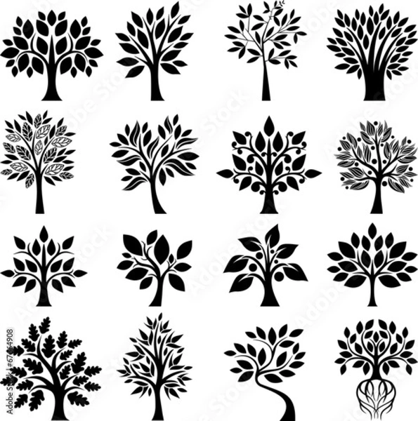Obraz Zestaw drzewa i