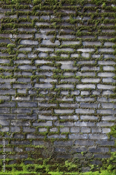 Obraz old mossy brick wall