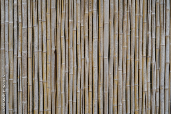 Fototapeta bamboo wall as design background