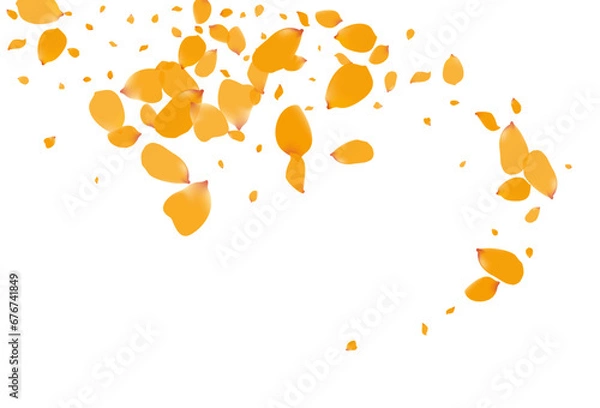 Fototapeta Yellow Floral Fall Vector White Background.