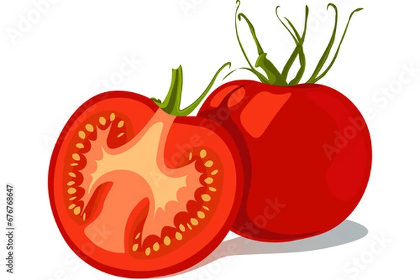 Obraz Pomidory, rysunek