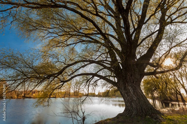 Obraz landscape sunset on the river