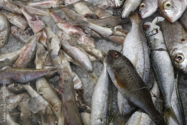 Obraz Fische aus dem mittelmeer auf eis