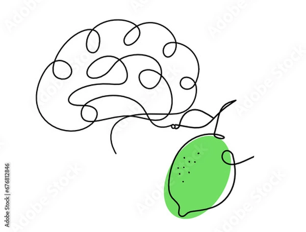 Fototapeta Color drawing line lemon with brain on the white