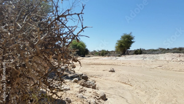 Obraz Laas Geel, Somalia