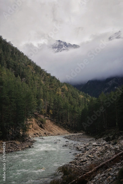 Obraz forest mountains
