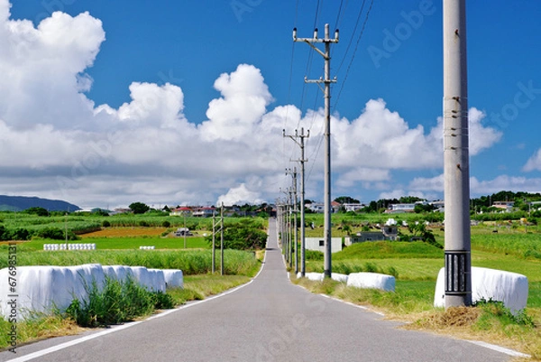 Obraz 沖縄県小浜島　シュガーロードと青空