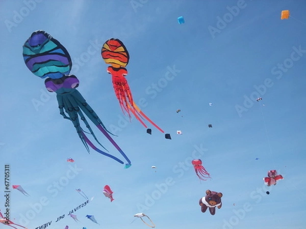 Obraz Cometas al viento