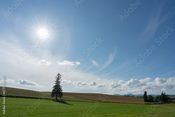 Obraz 北海道の風景