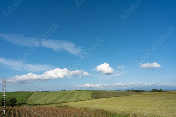 Obraz 北海道の風景