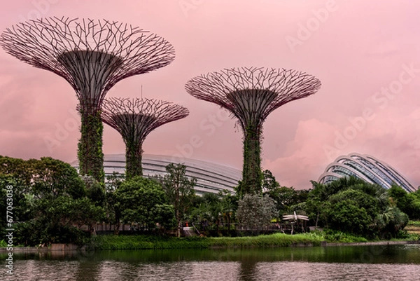 Fototapeta gardern by the bay at sunrise.
view of the garden by the bay with supertree and Cloud Dome and Forest Dome in the background. singapore