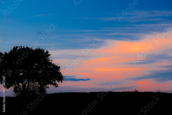Fototapeta soft sunset with silhouette of tree in the countryside