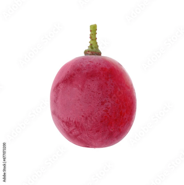 Fototapeta One ripe red grape isolated on white