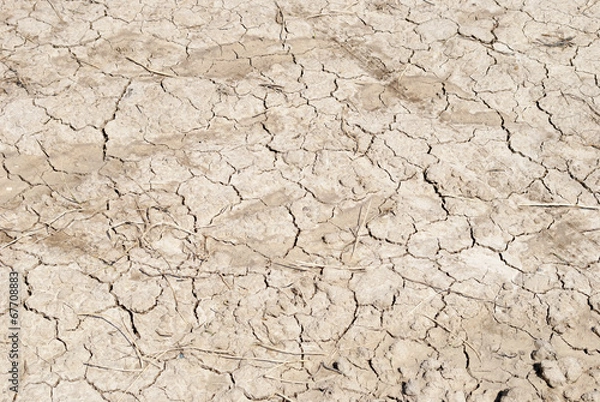 Fototapeta Dry Soil