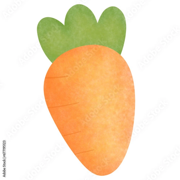 Obraz Carrot