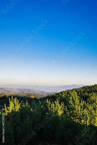 Obraz landscape with field