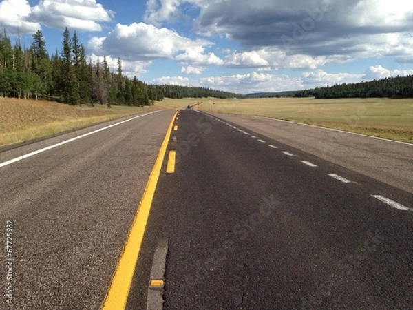 Obraz strada verso il grand canyon