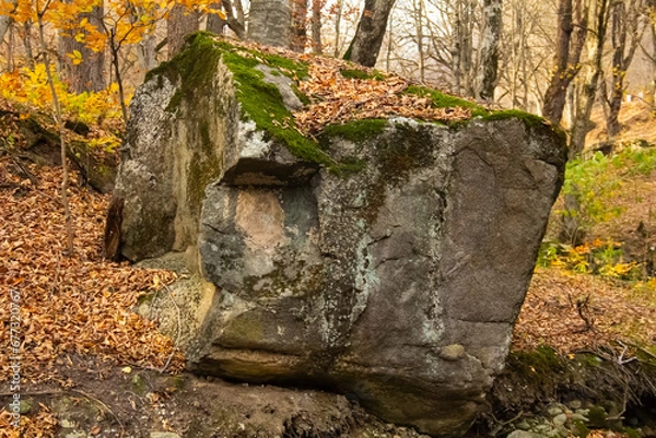 Fototapeta A huge stone in the middle o the forest. Autumn leaves on it