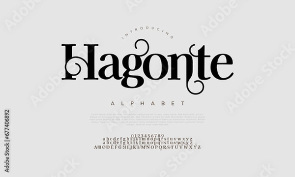 Fototapeta Hagonte premium luxury elegant alphabet letters and numbers. Elegant wedding typography classic serif font decorative vintage retro. Creative vector illustration
