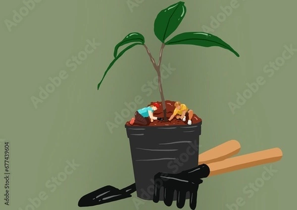 Obraz person planting a tree