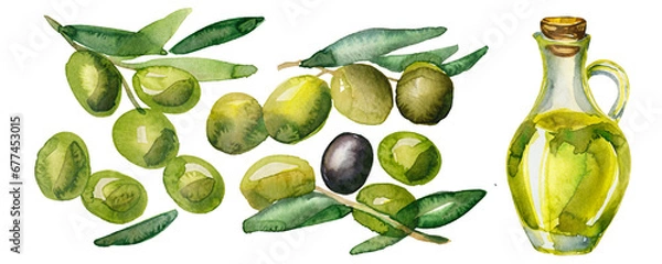 Fototapeta 水彩で描いたオリーブとオリーブオイルのイラスト