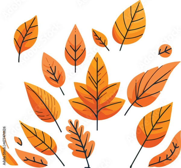 Obraz autumn leaves vector set