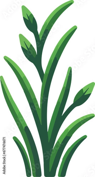 Obraz aloe vera plant