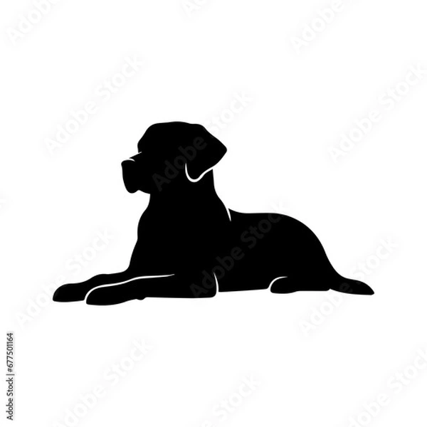 Fototapeta Lying Labrador Retriever vector silhouette