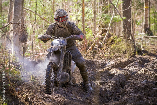 Obraz Stuck in the Mud