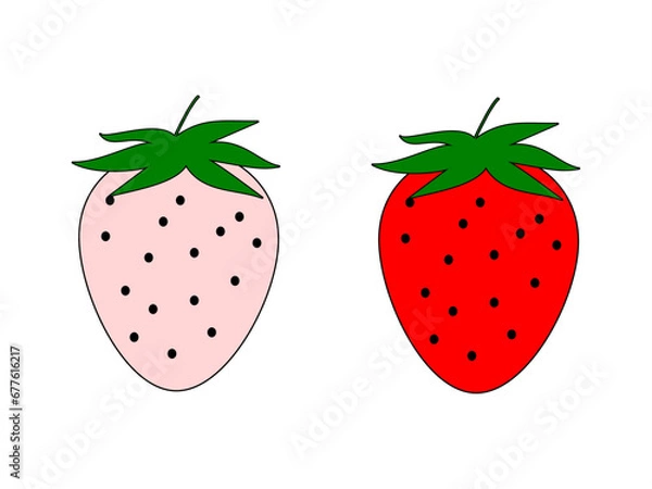 Obraz two strawberries, one young and one ripe