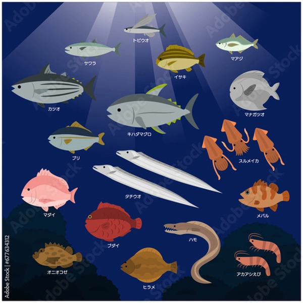 Obraz 日本近海のサカナ