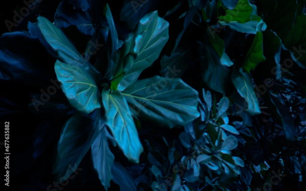 Obraz Leaf Background backdrop, background original picture original, background original identity foreground.