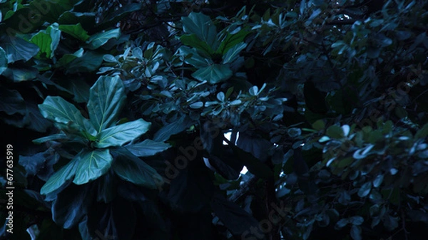 Obraz Leaf Background backdrop, background original picture original, background original identity foreground.