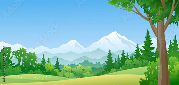 Obraz Mountain forest