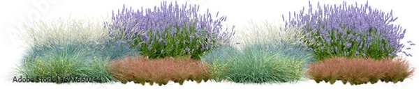 Fototapeta Realistic small garden. 3d rendering of isolated objects.
